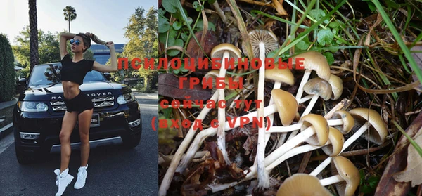 прущая мука Абаза
