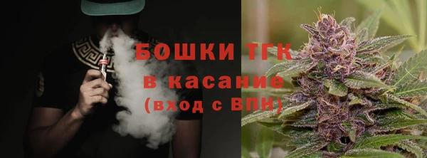 сатива Абинск