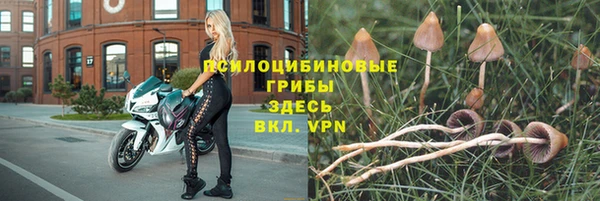 шишки Абдулино