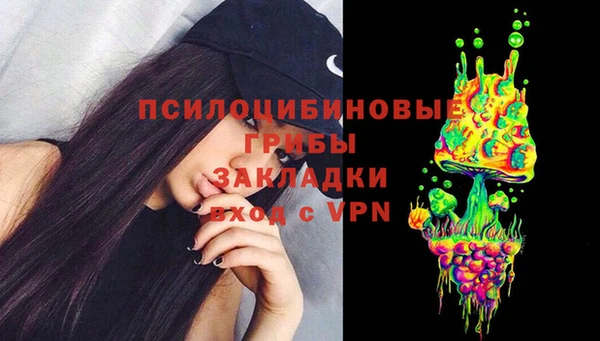шишки Абдулино