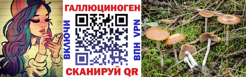 Псилоцибиновые грибы мицелий  Фокино 